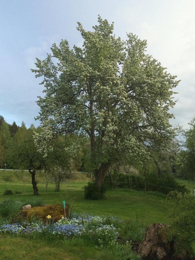 Braenntorps Gard Villa Kolmården Kültér fotó